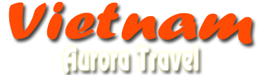 Homepage