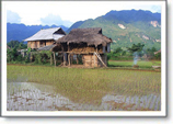 Vietnam Travel Blog