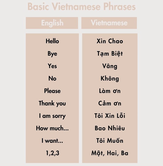 Vietnamese language