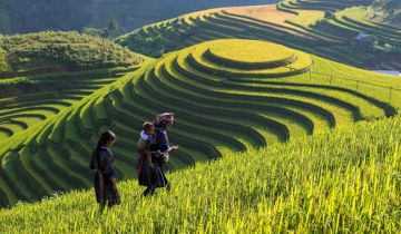 things to see and do in vietnam 7