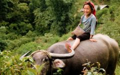 sapa tours 61