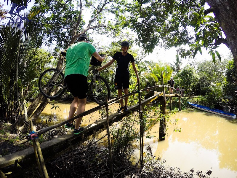 mekong delta tours 18