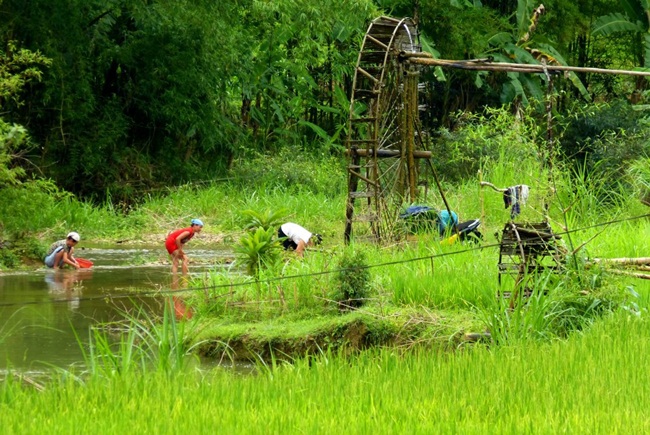 Mai Chau 4