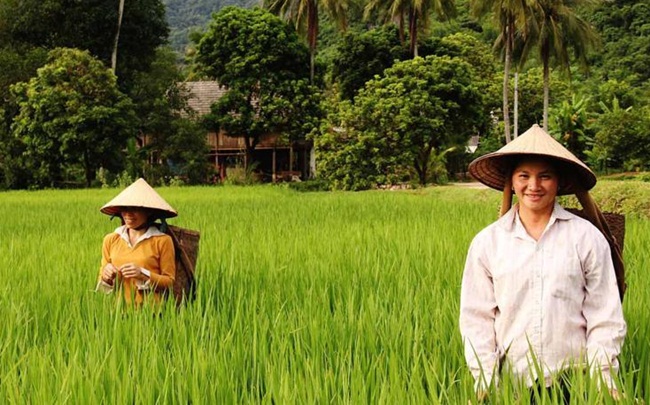Mai Chau 1