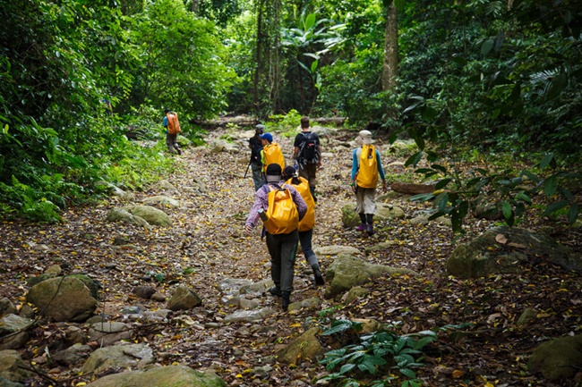 phong nha national park 1